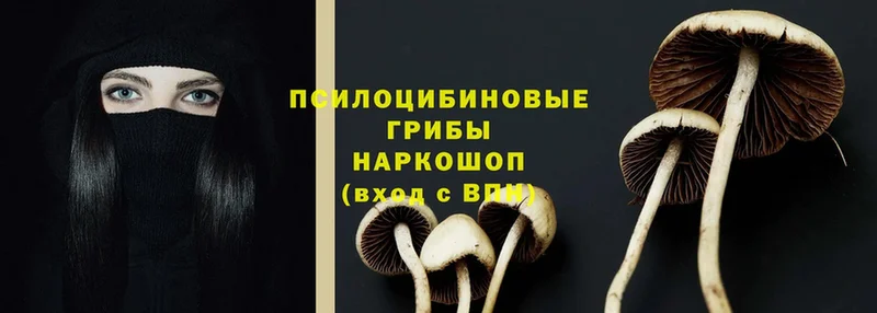 Галлюциногенные грибы ЛСД  это состав  Нахабино 